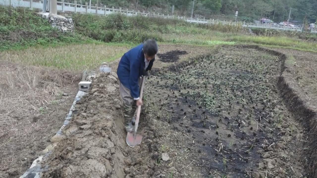 �ú������ �ﶬ��ֲæ