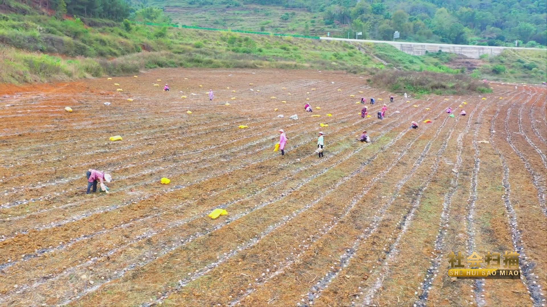 �Ƽ����³ɹ�ת������������������𡰵���