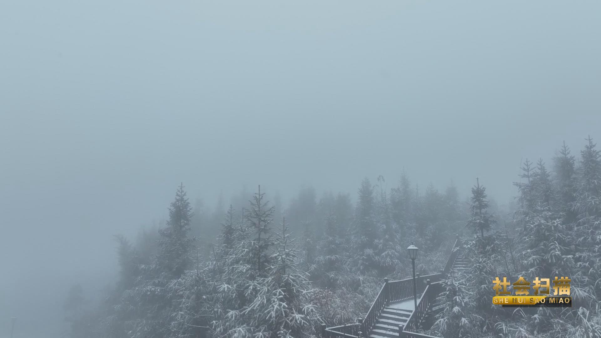 ��ѩ�׷��ꡡ�ϵ���ɽ����ӭ�붬��һ��ѩ