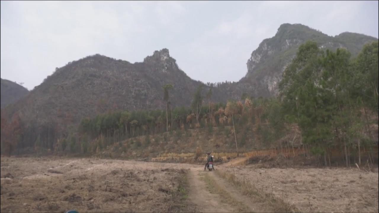 ��Դ����պ��� ��ɻ��ֱ�����
