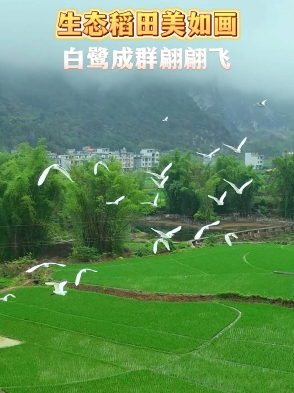 ���� | ��̬�������续 ���س�Ⱥ�����