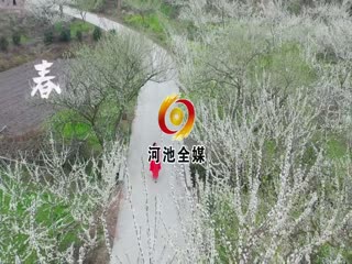 �����仨ƺ ���´��⿴�ϵ�