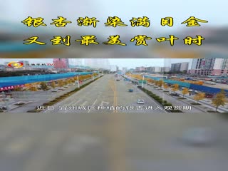 ���ӽ�Ⱦ��Ŀ��   �ֵ�������Ҷʱ