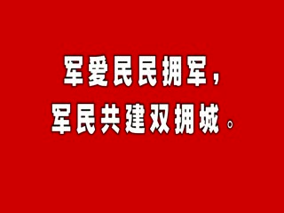 �ֳ�����ȼ������������  ��ǹ���� 