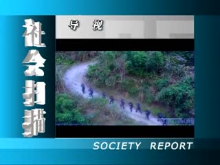 ���ɨ��20200806