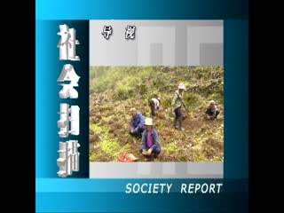 ���ɨ��20220324