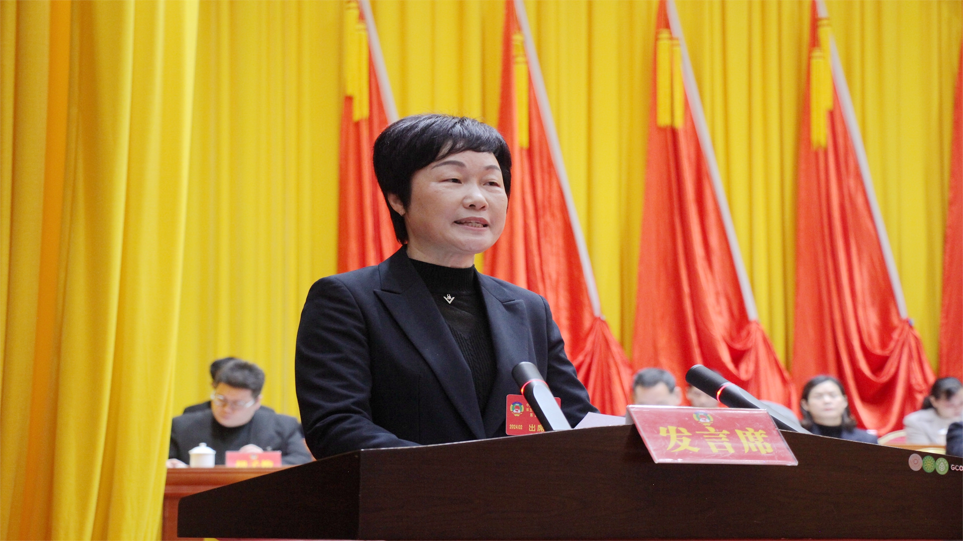 莫秋婷委员：在冯京故里建设状元文化主题园
