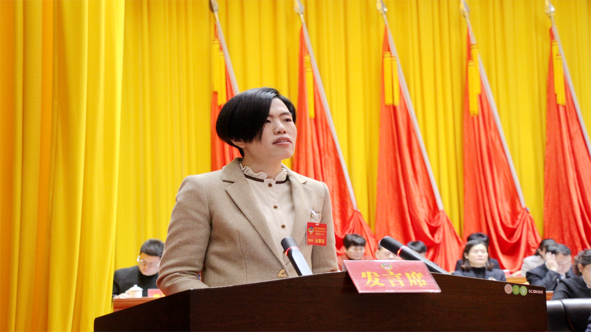 谭晓璇委员：发挥国家级文化生态保护区优势，助力文化强市建设