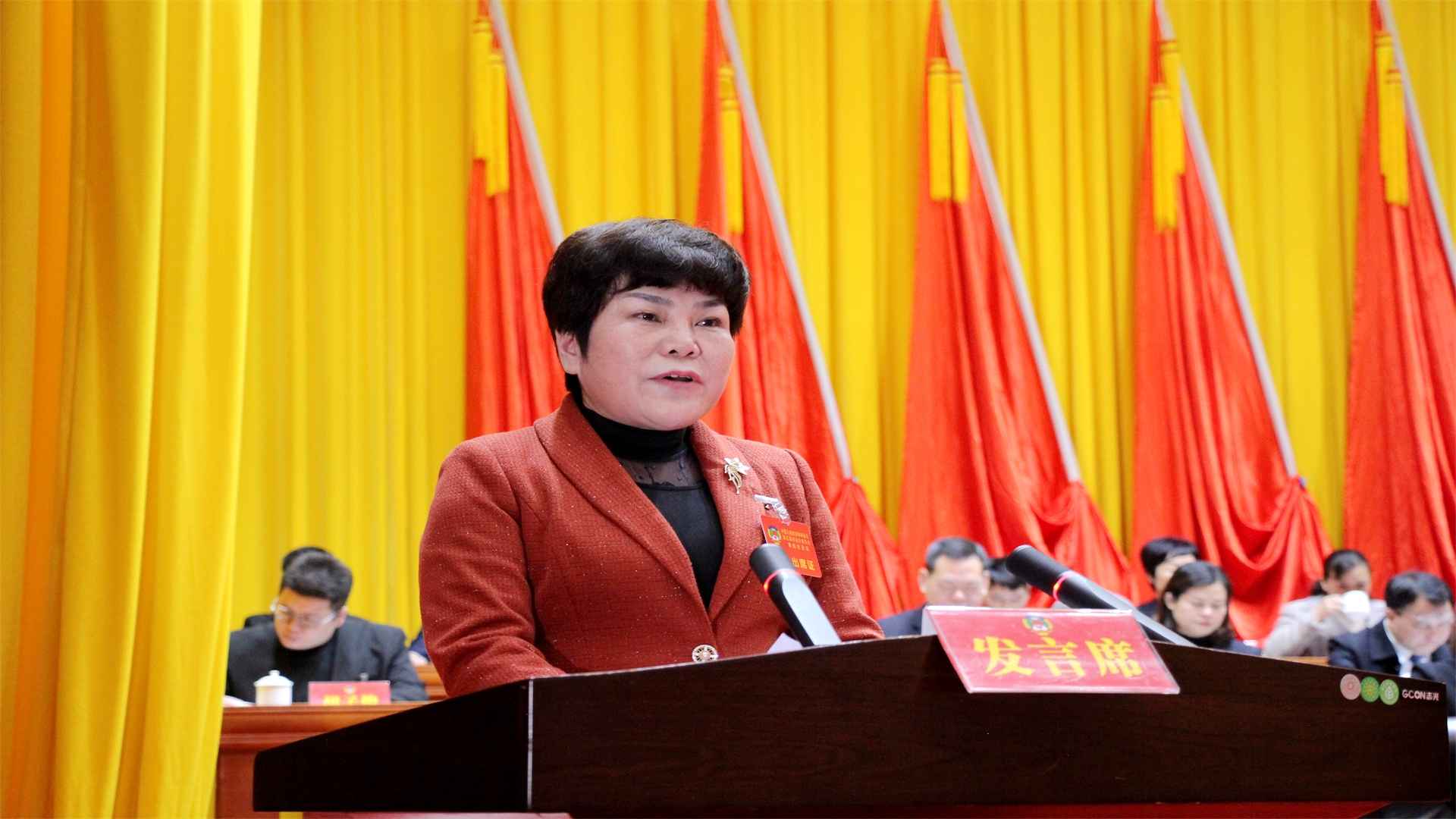 黄兰爱委员：以科技创新推动河池工业经济高质量发展