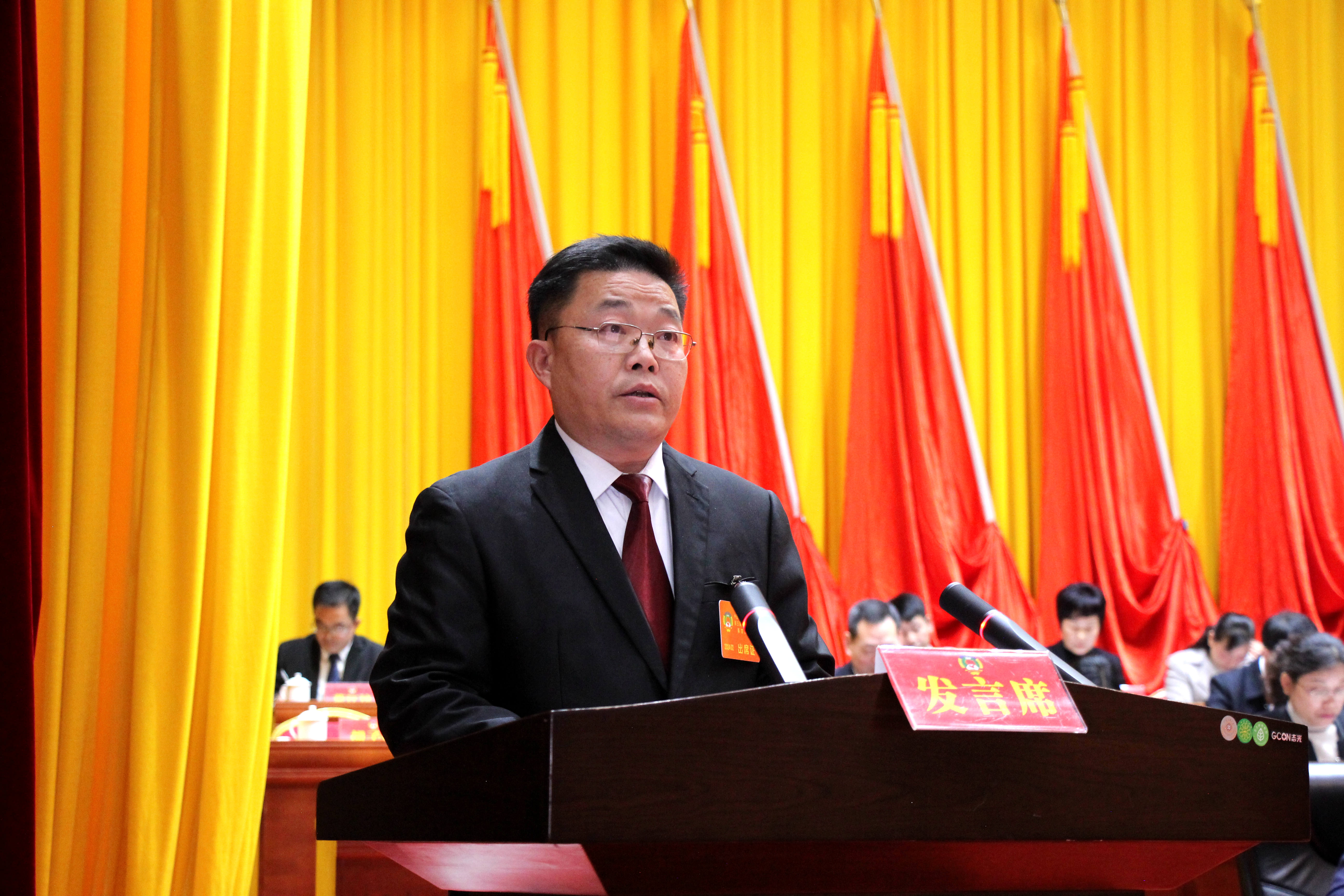 蒙仕林委员：加快推进河池高铁新区建设